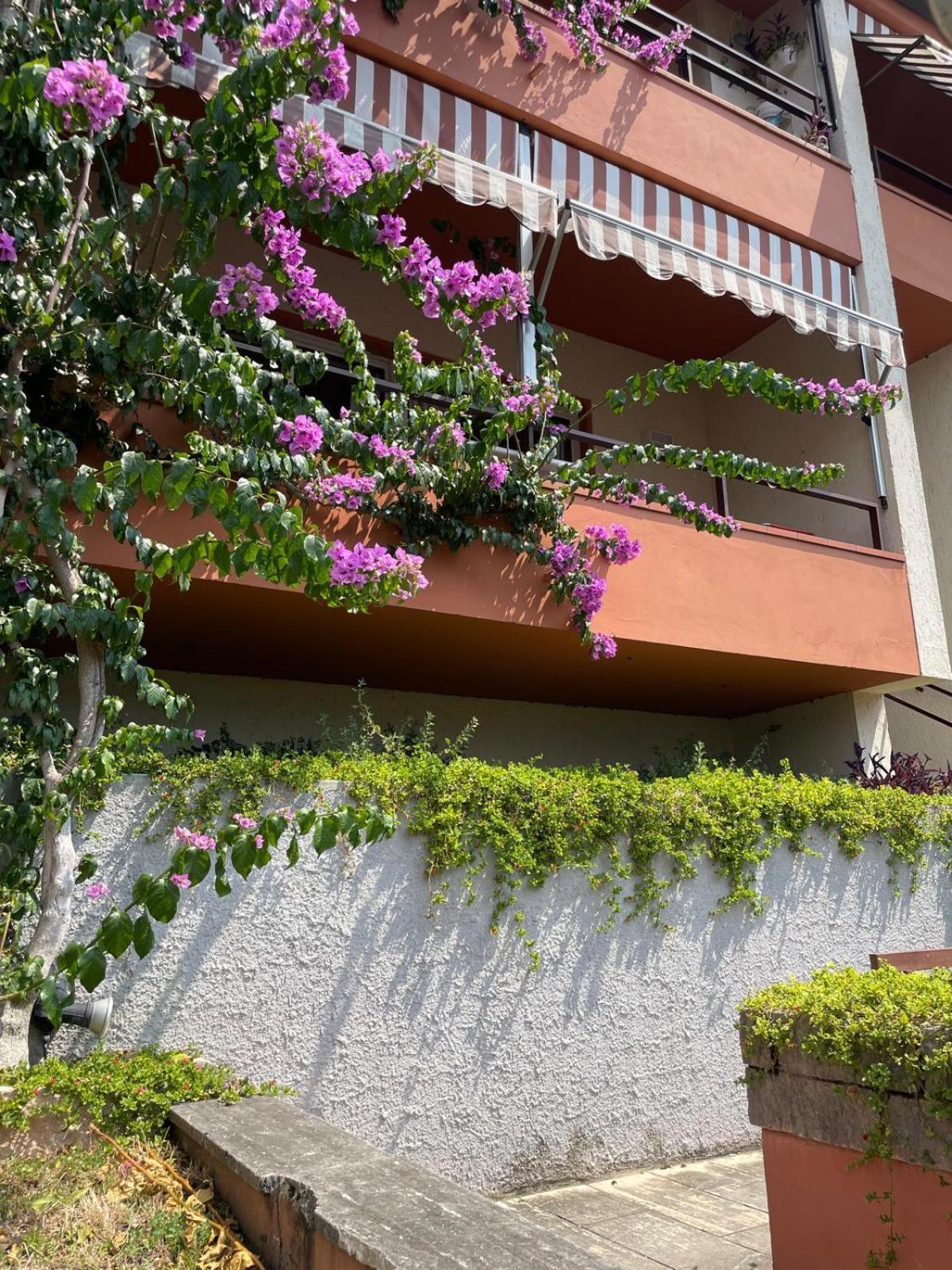 Residence Kormorano Malcesine Exterior photo